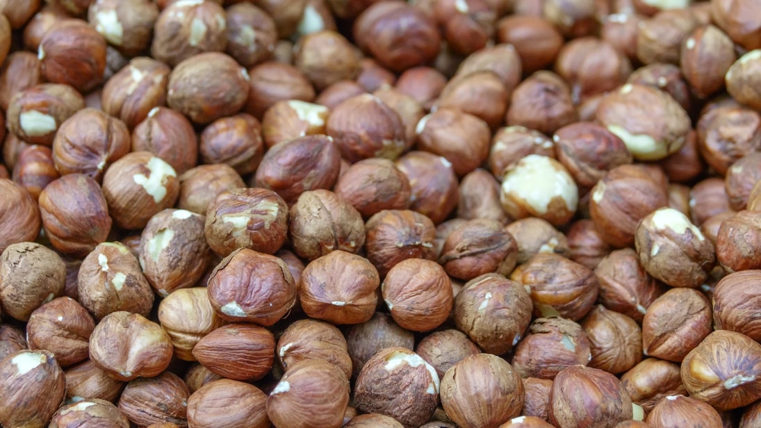 Fındık işleme hizmetleri - Vakum paketleme